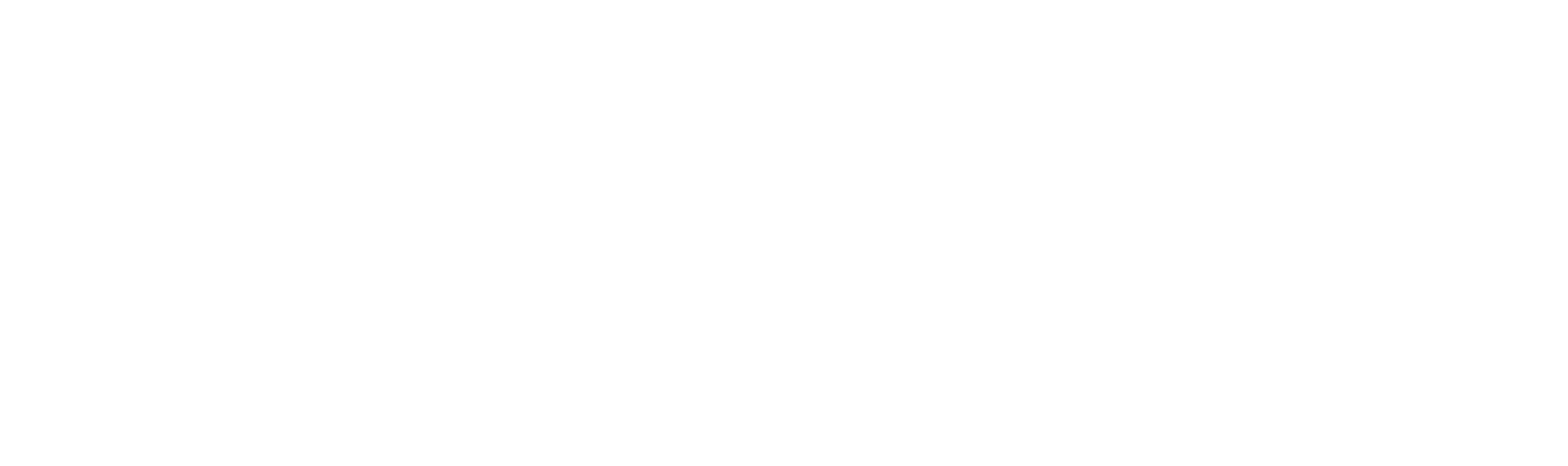 Čistím Káry - profesionální auto detailing České Budějovice